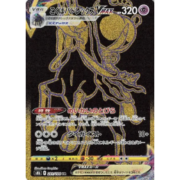 Pokemon Shadow Rider...