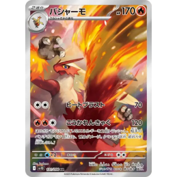 Pokemon Blaziken Braségali...